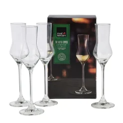 CASA After Dinner Copas De Grappa Juego De 4 Transparente