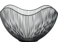 CASA Aster Frutero Negro