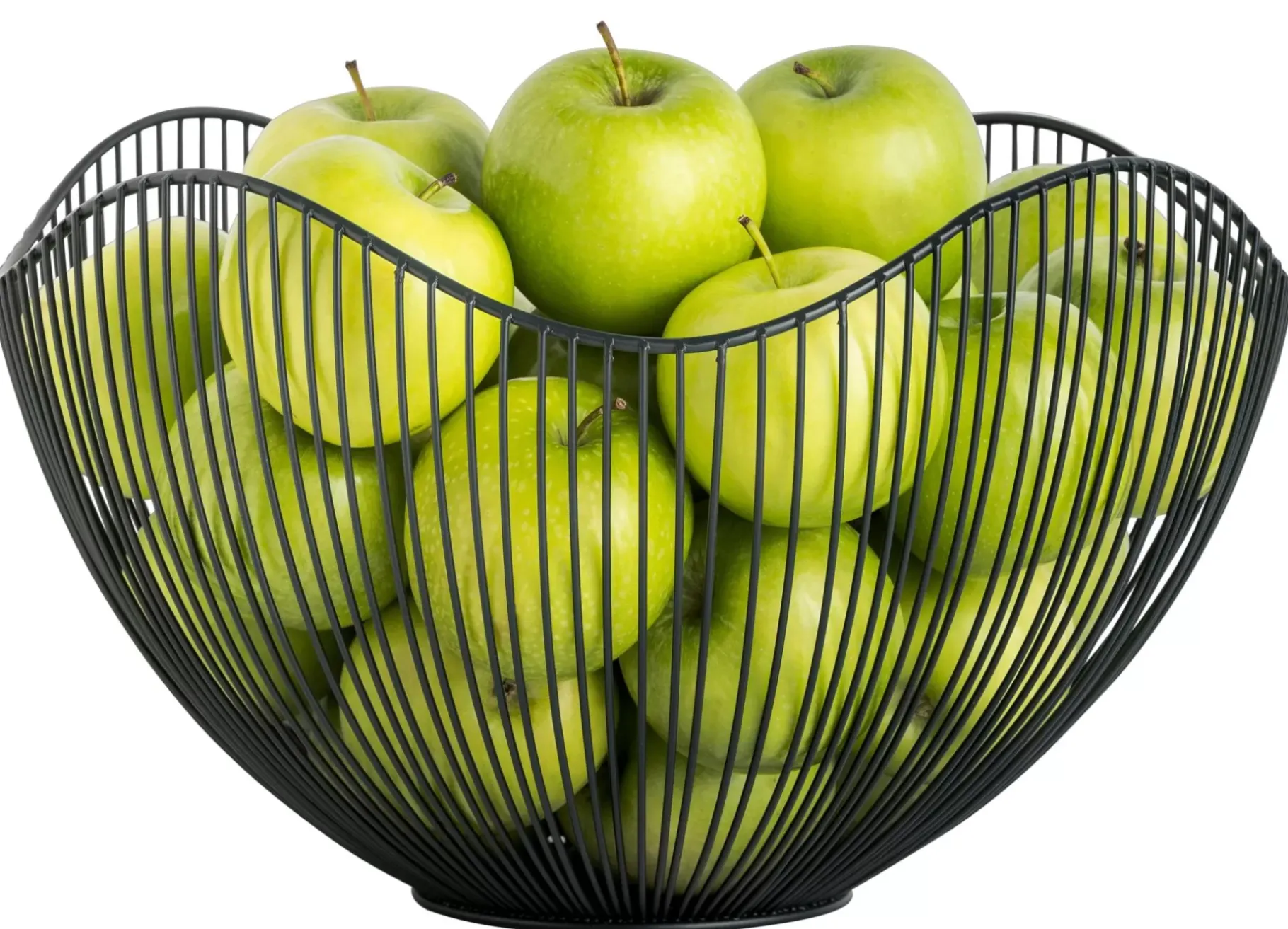 CASA Aster Frutero Negro