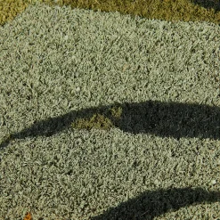 CASA Bambou Felpudo Verde