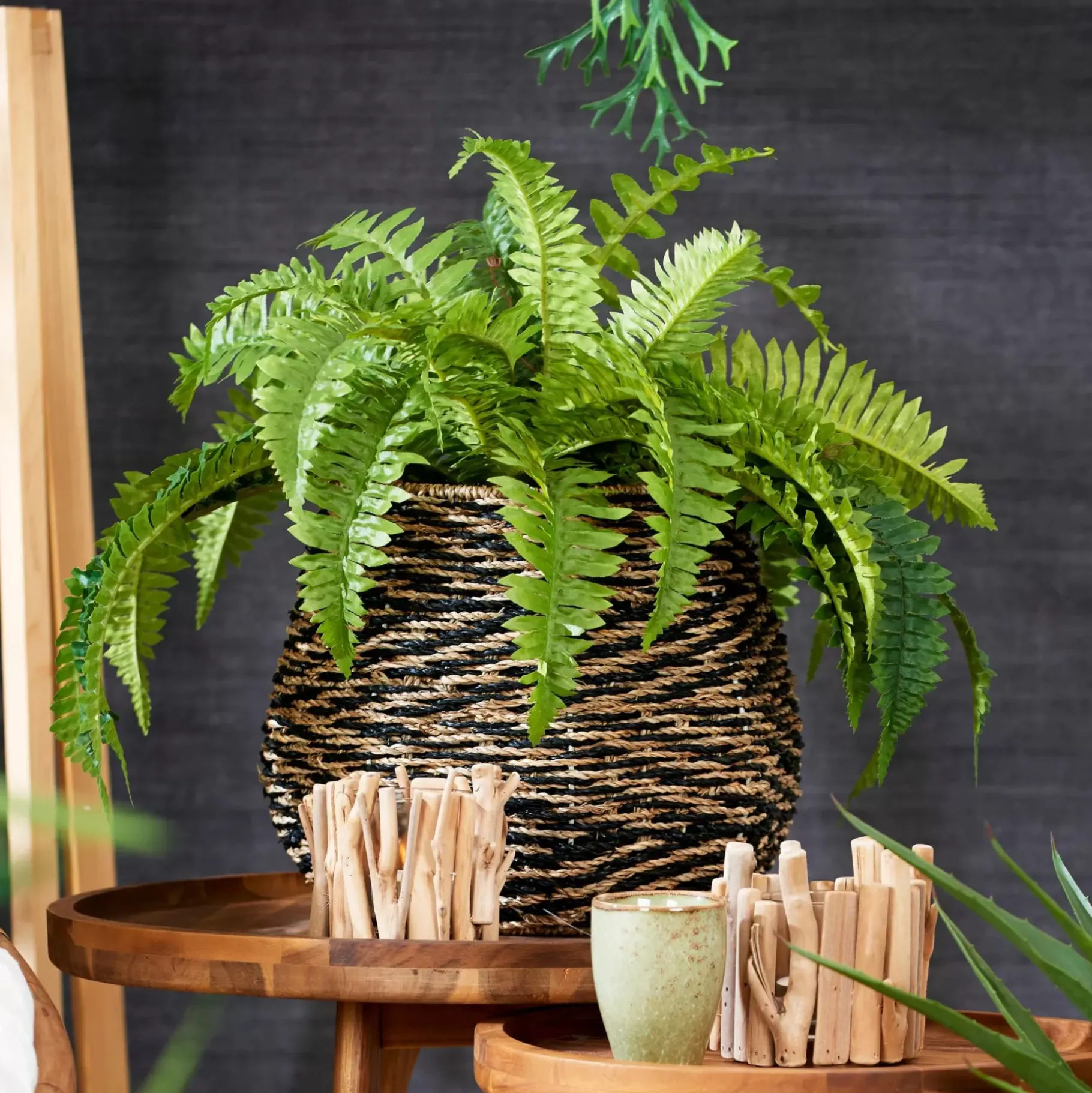 CASA Boston Planta Helecho Verde