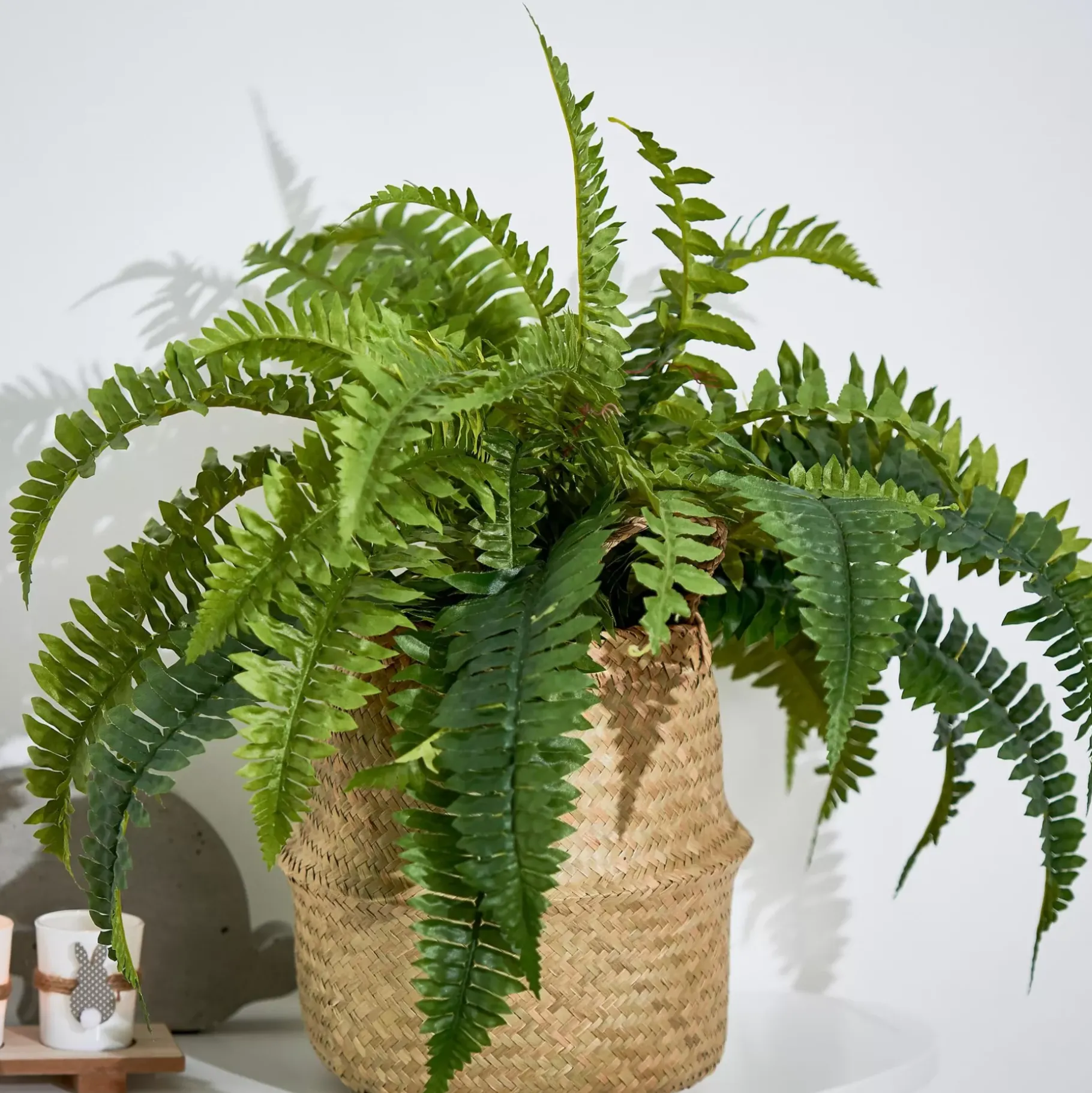 CASA Boston Planta Helecho Verde