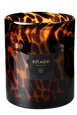 CASA Escape Black Oudh Negro, Marron, Ocre