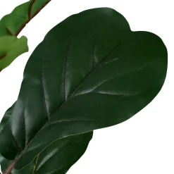 CASA Figi Negro, Verde Oscuro