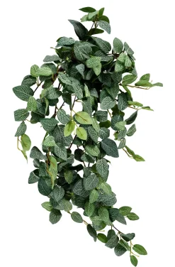 CASA Fittonia Guirnalda De Hojas Verde