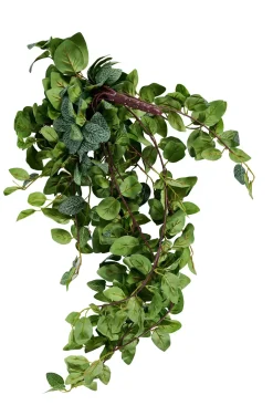 CASA Fittonia Guirnalda De Hojas Verde