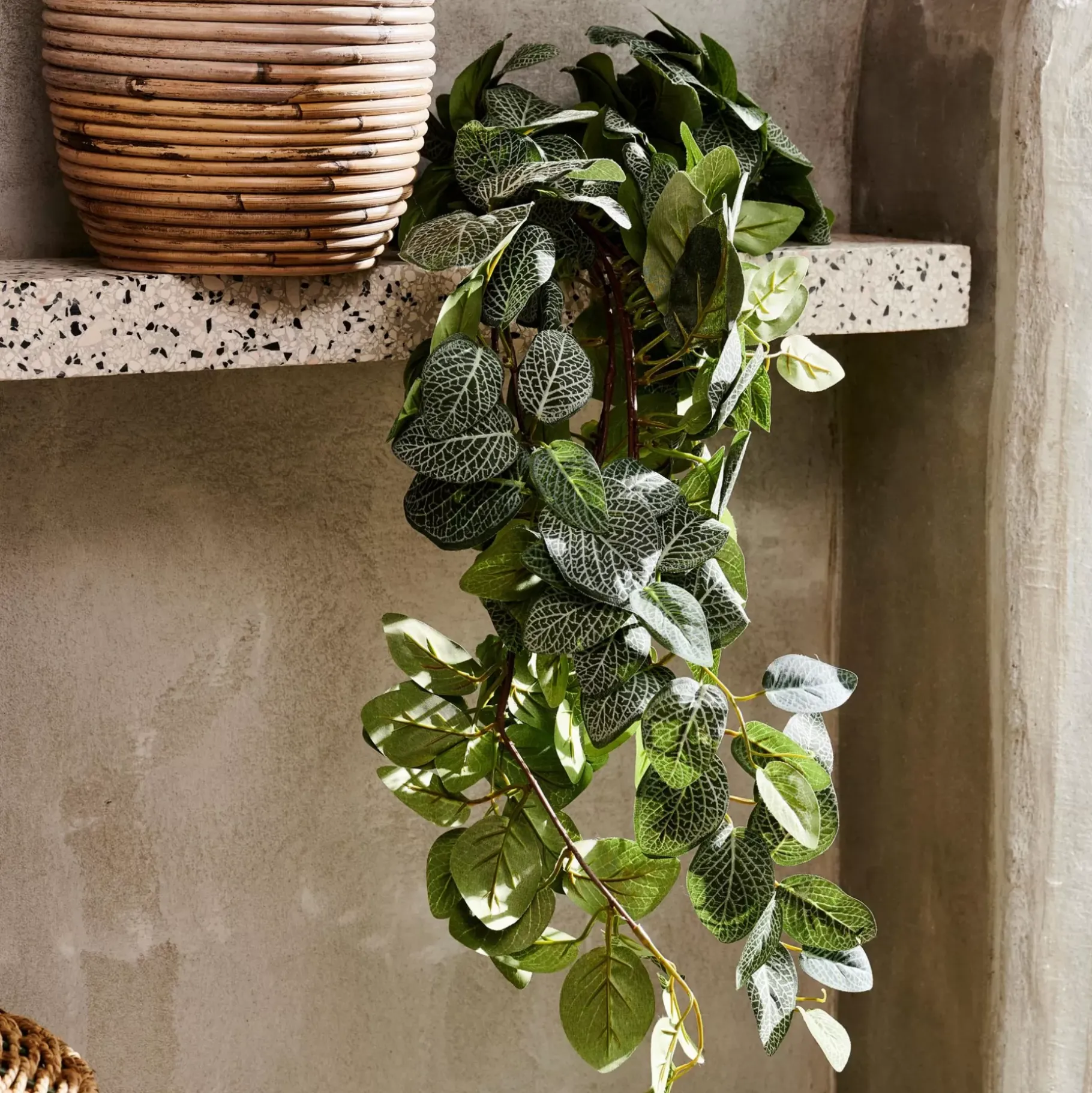 CASA Fittonia Guirnalda De Hojas Verde