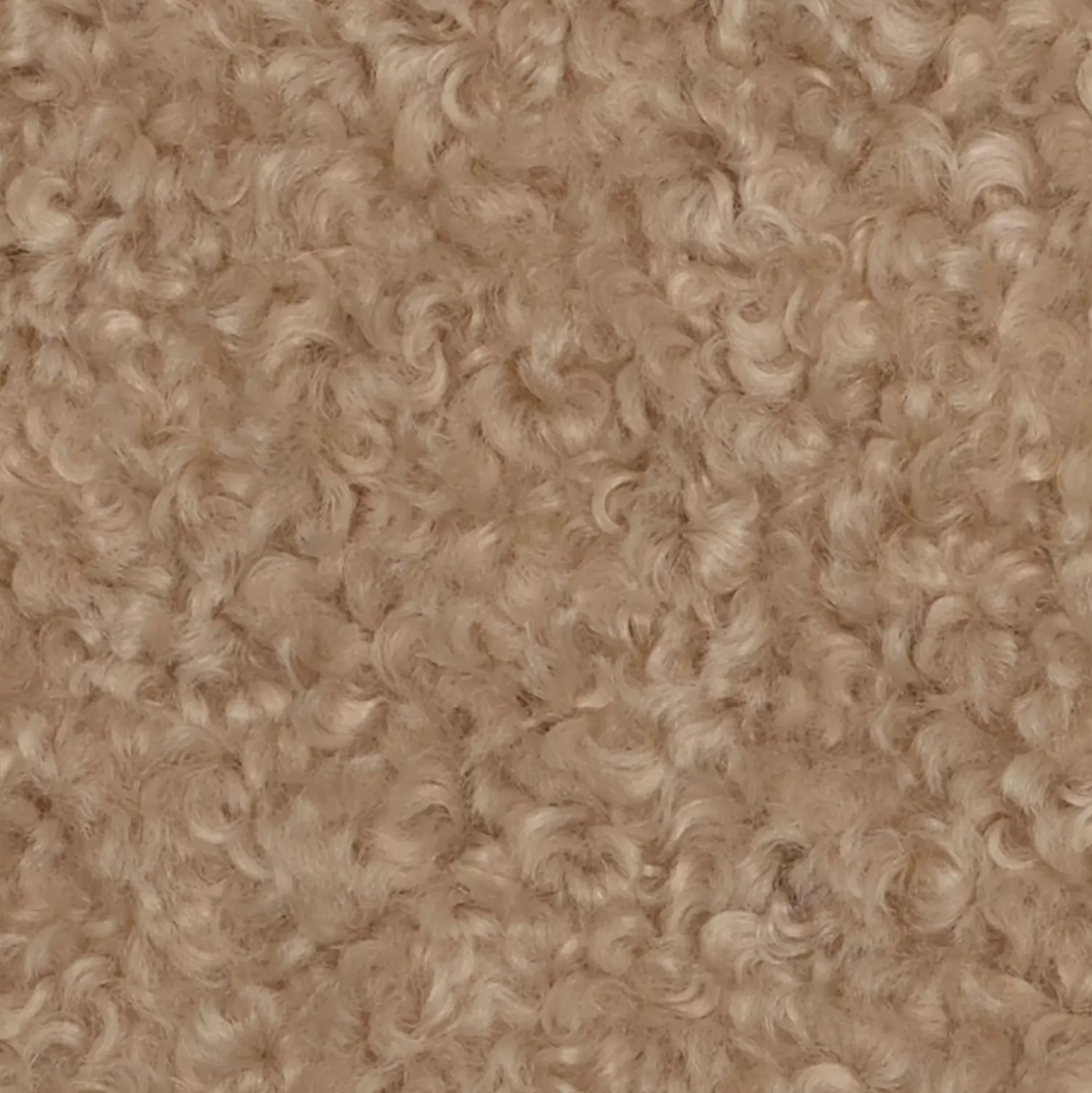 CASA Hugo Cojin Beis