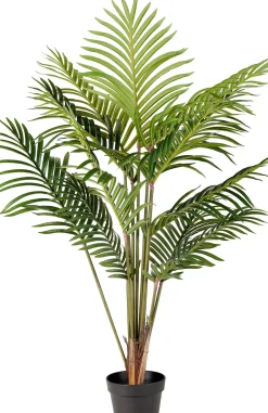 CASA Kwai Palmera Verde