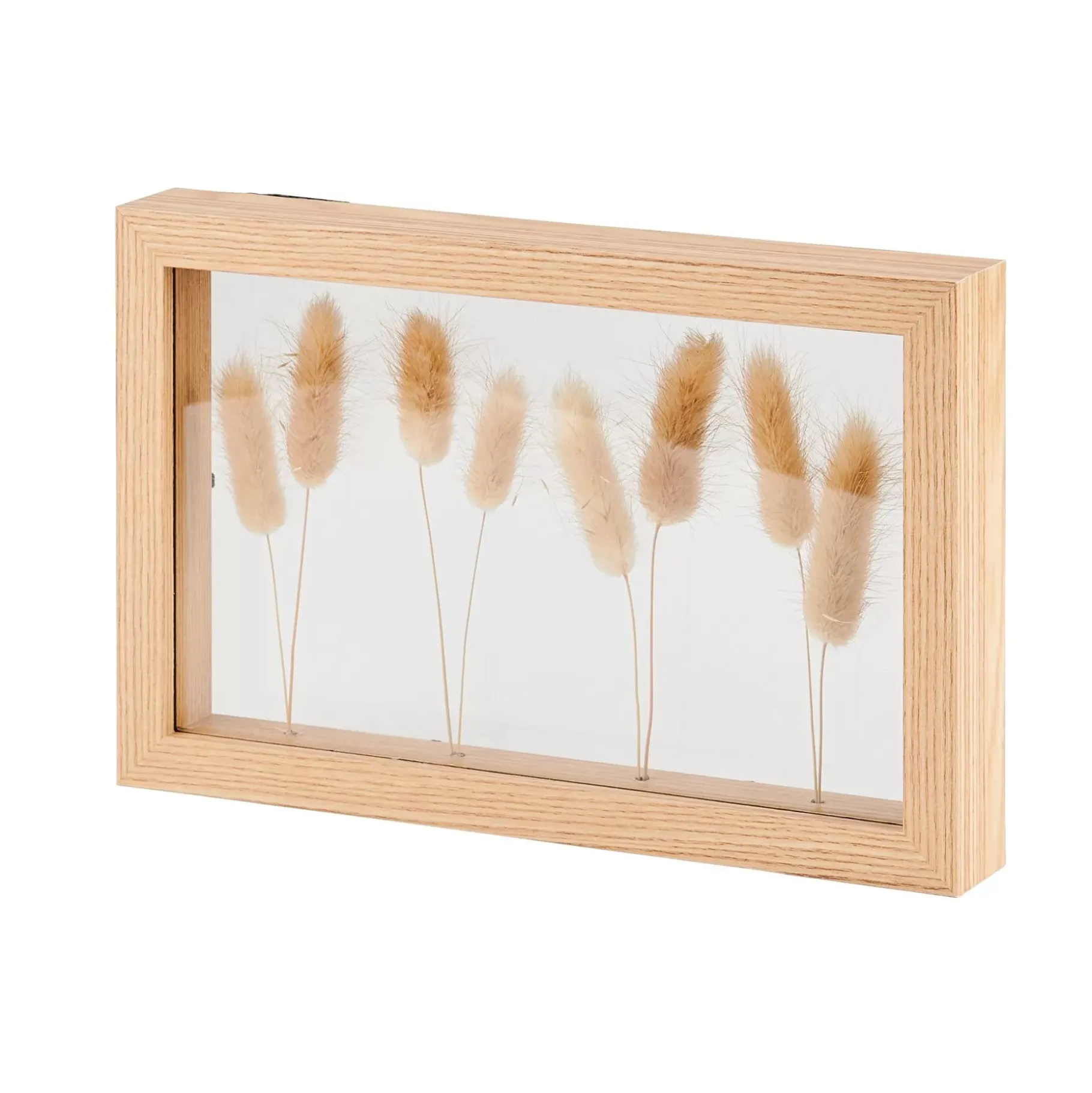 CASA Lagurus Decoracion De Pared Natural