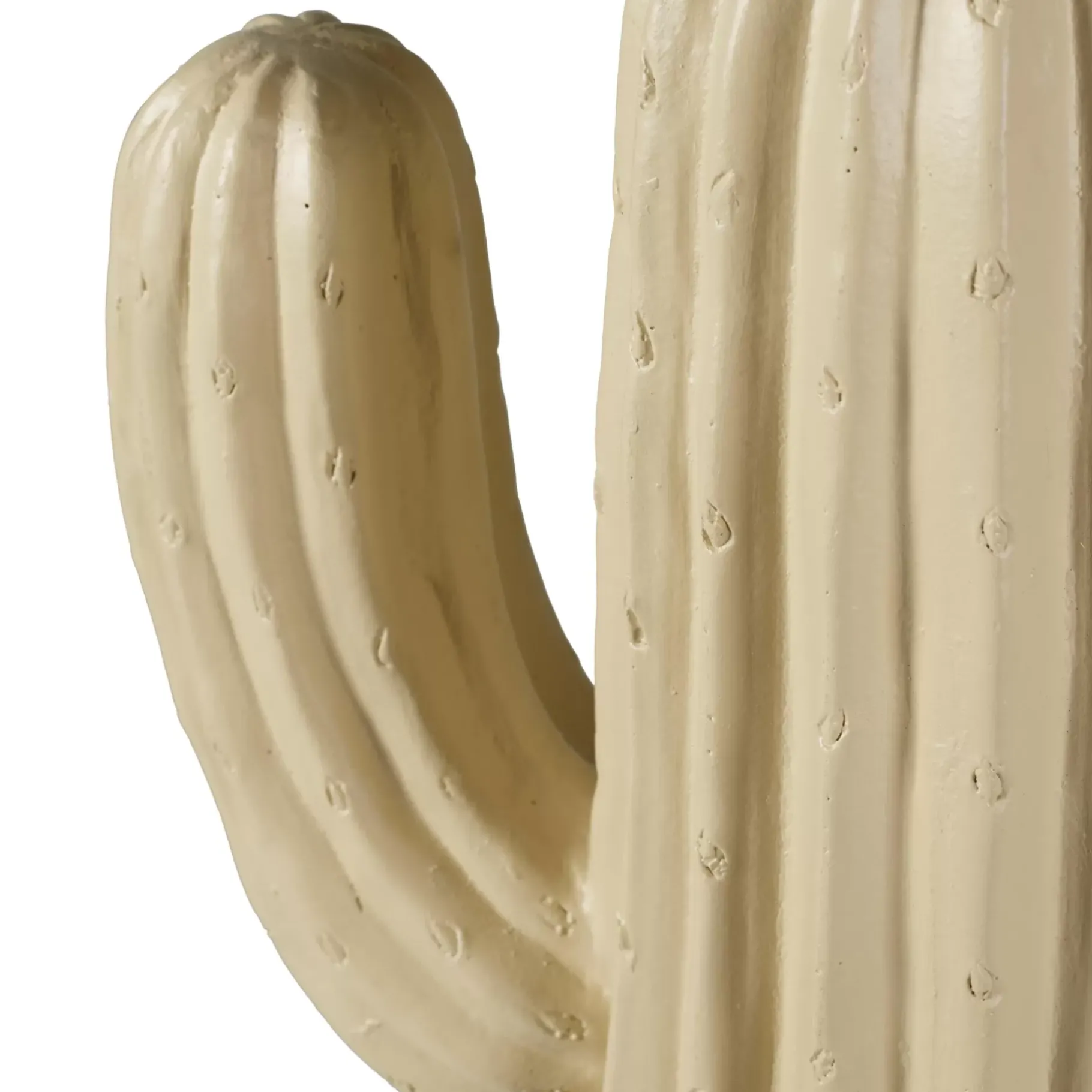 CASA Magnesia Cactus Crema