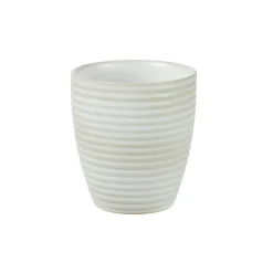 CASA Masterchef Taza Beis