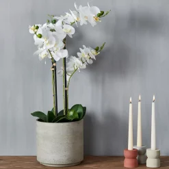 CASA Orchid Orquidea En Maceta Blanco