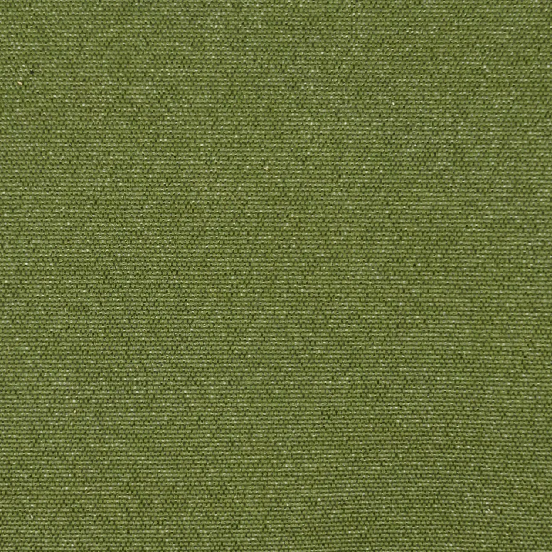 CASA Pauletta Luxe Verde