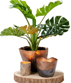 CASA Paulo Fuente Natural