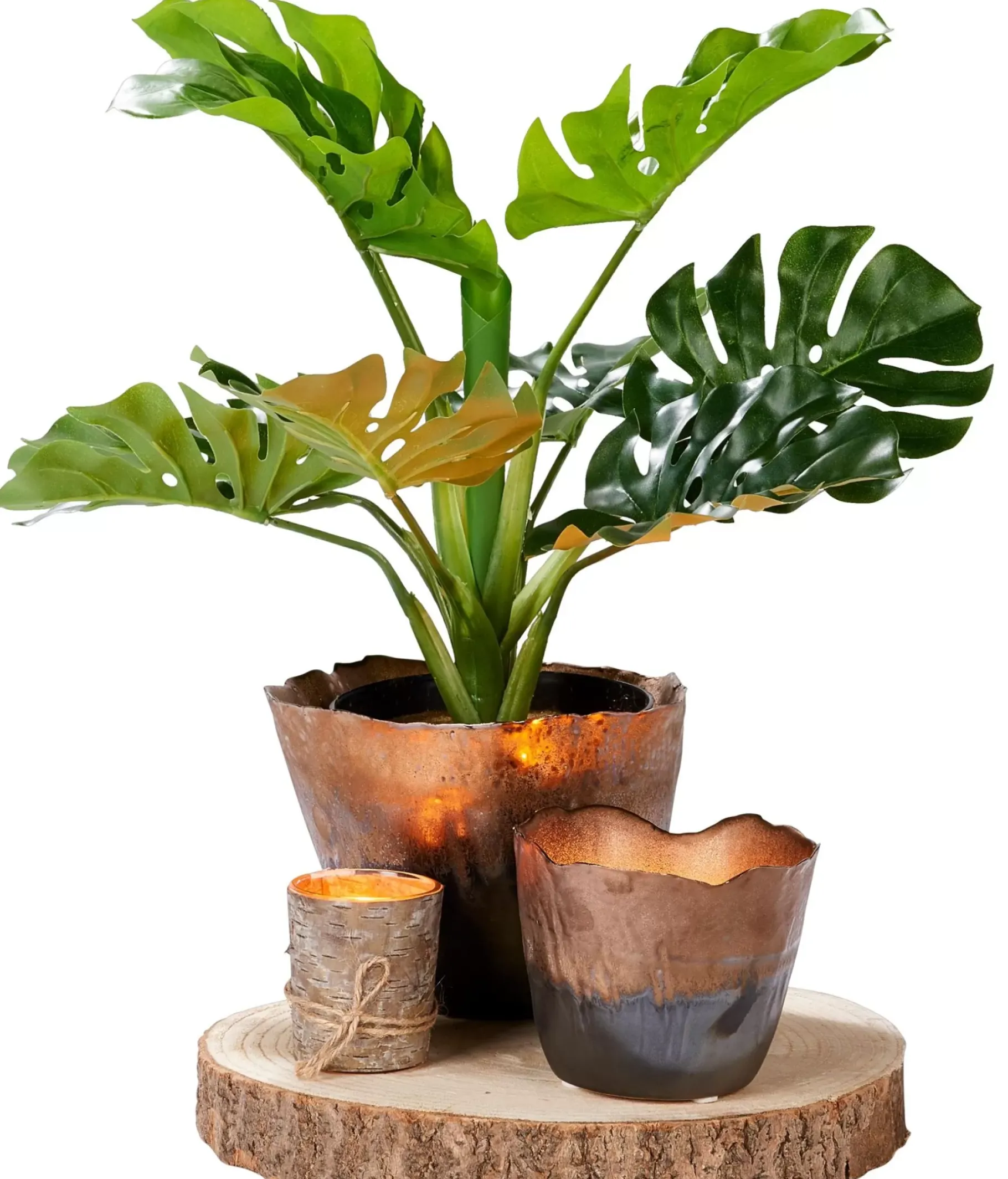 CASA Paulo Fuente Natural