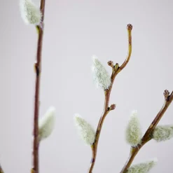 CASA Salica Rama Sintetico Verde