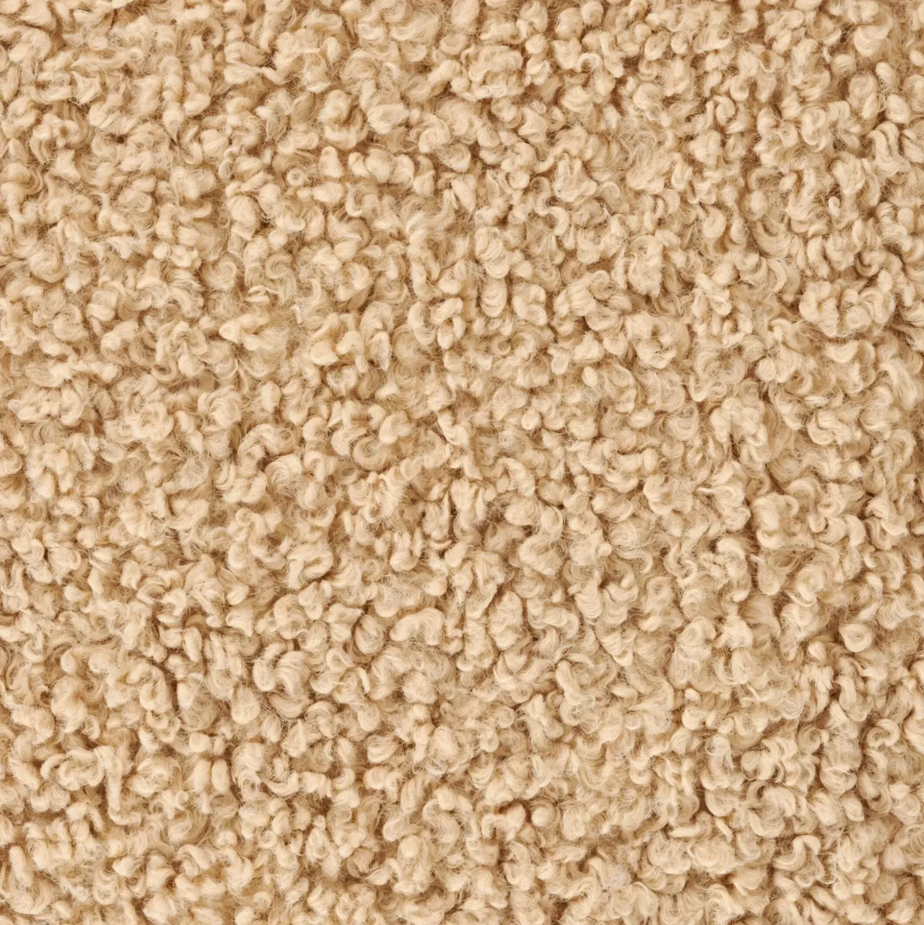 CASA Shaun Cojin Beis