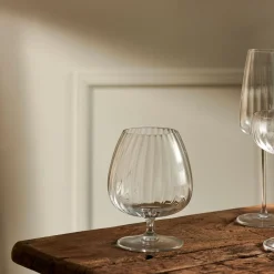 CASA Speakeasies Conac Transparente