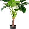CASA Taro Planta Artificial Aro Verde