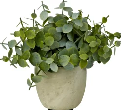 CASA Terra Planta En Maceta Blanco, Verde