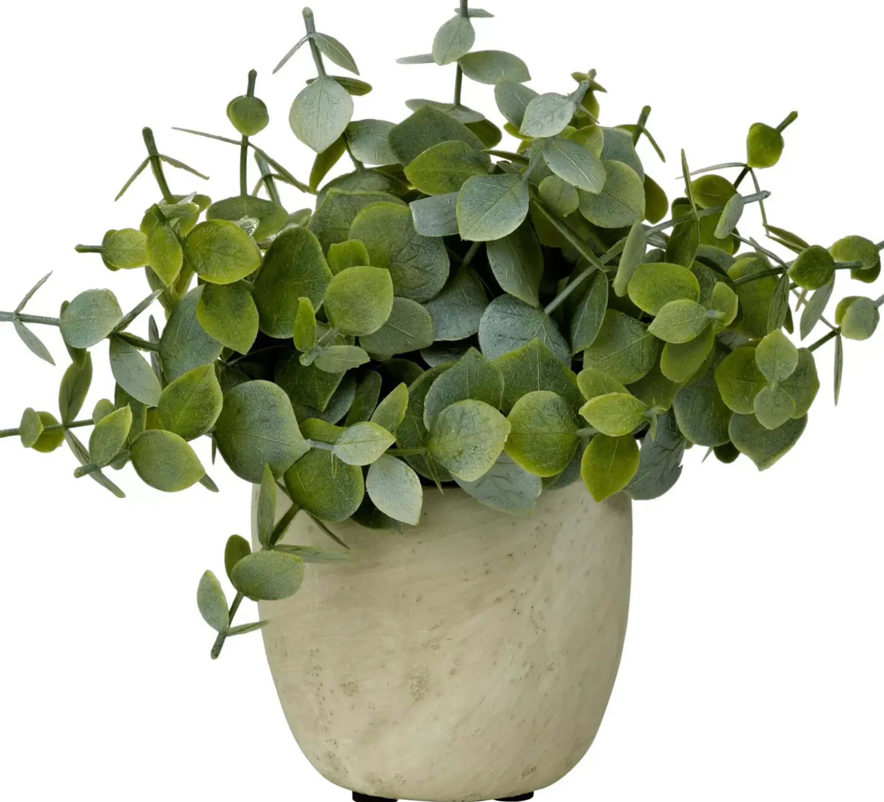 CASA Terra Planta En Maceta Blanco, Verde