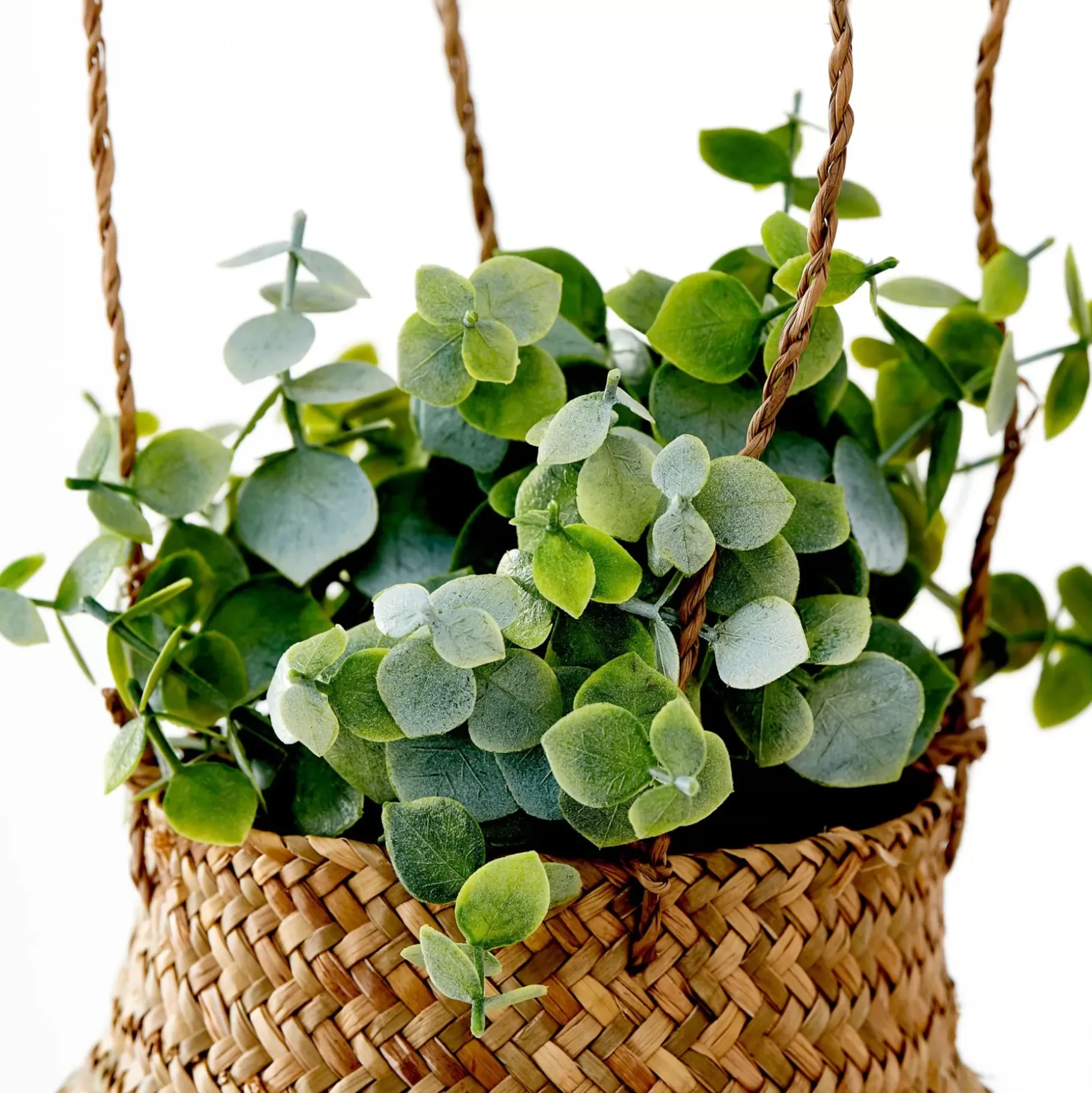 CASA Terra Planta En Maceta Blanco, Verde