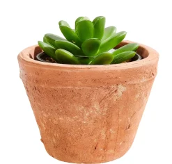 CASA Tierra Macetero Terracota